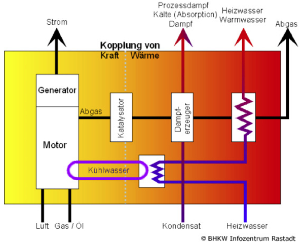 Bild "15_Biomasse.jpg"